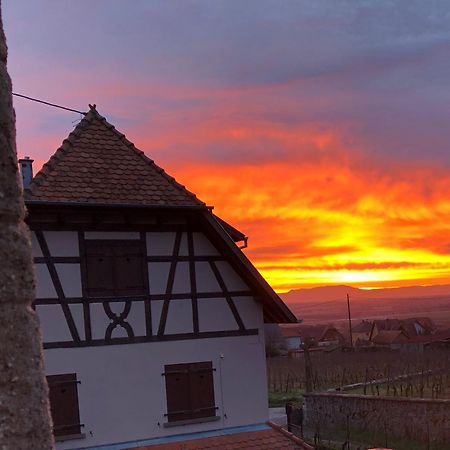 Вилла Beck Domaine Du Rempart Дамбах-ла-Виль Экстерьер фото
