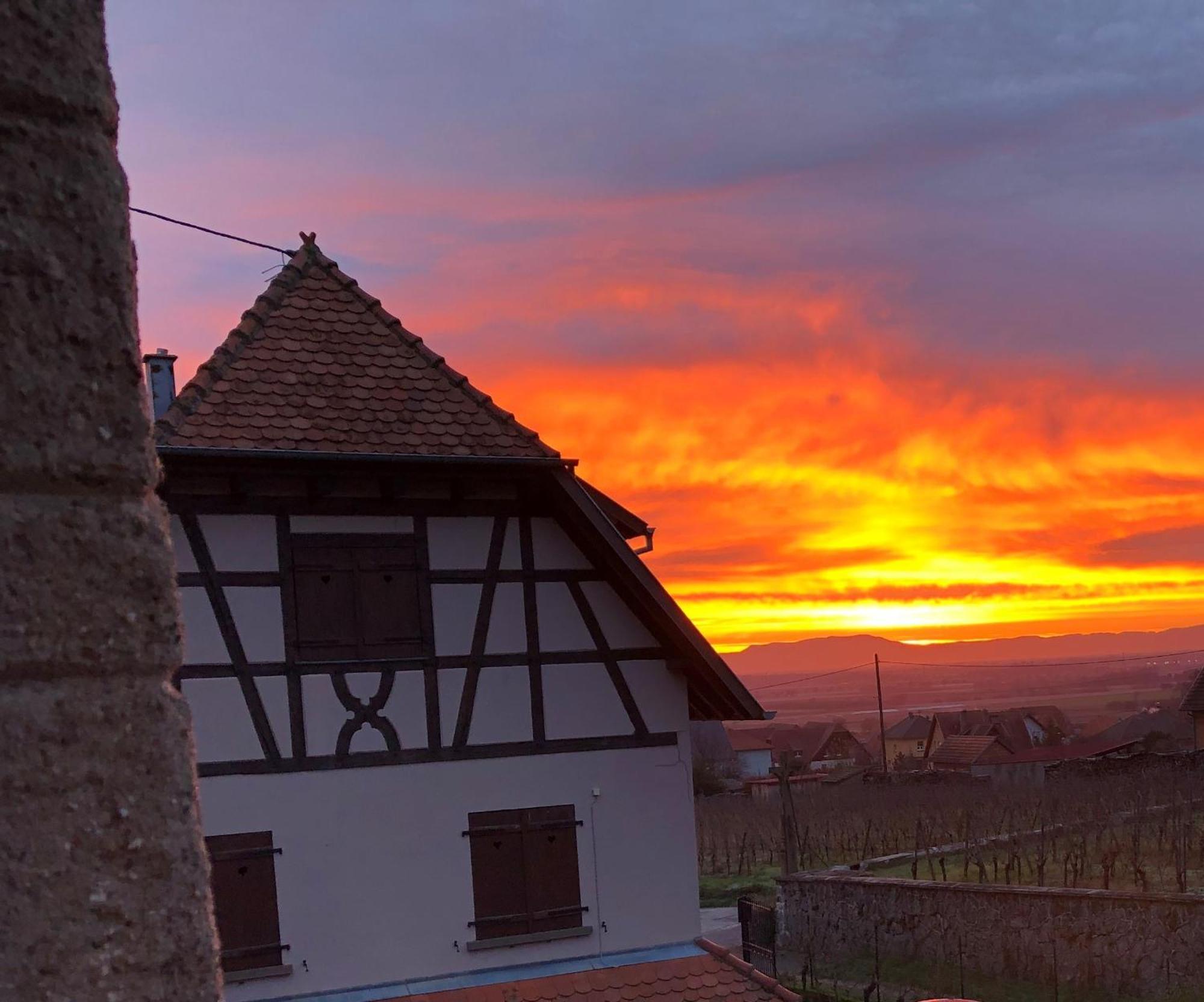 Вилла Beck Domaine Du Rempart Дамбах-ла-Виль Экстерьер фото