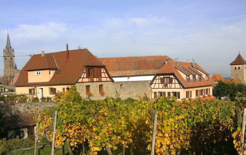 Вилла Beck Domaine Du Rempart Дамбах-ла-Виль Экстерьер фото